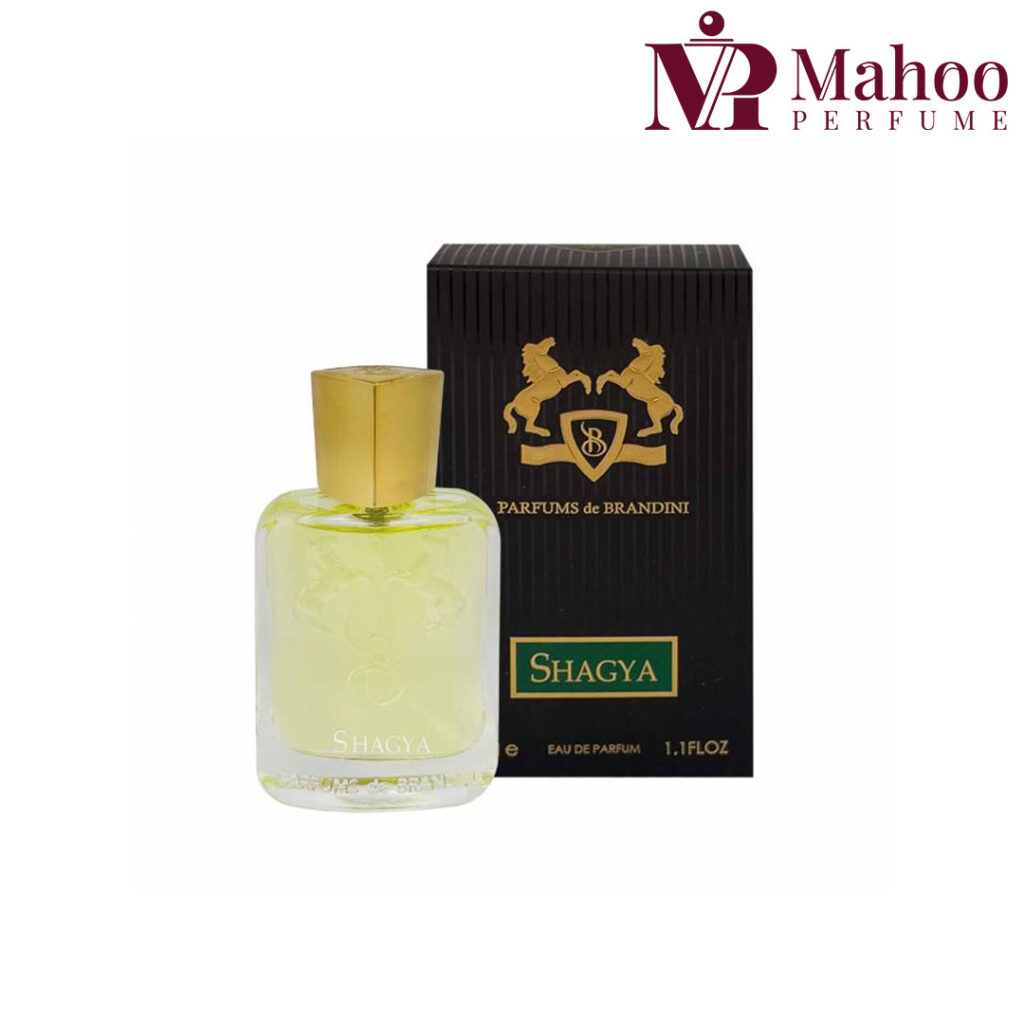 خرید عطر مارلی شاگیا برندینی مردانه 33 میل | Brandini Parfums de Marly Shagya 